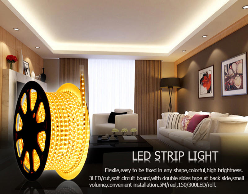 Leimove-Best Led Strip Lights, Outdoor Use Ip65 Waterproof Round Shape 360 Degree