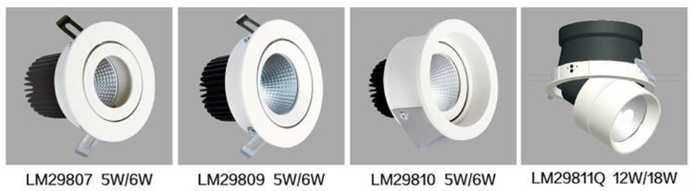 Leimove-Hot Sale Adjustable Led Cob 5w Wall Washer Light | Leimove Lighting-7