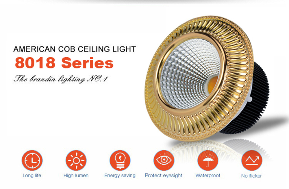 Leimove-Good Quality Led Ceiling Spotlights On Leimove Lighting-6