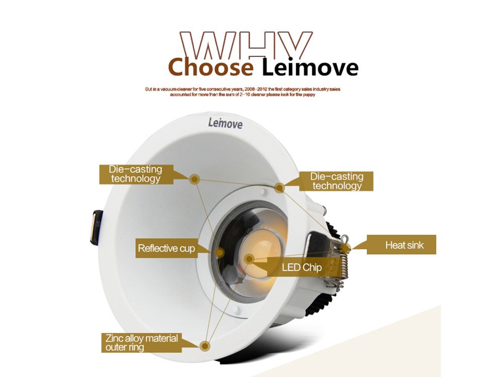 Leimove-Manufacturer of High Quality LED Spot | Leimove Led Lighting-5