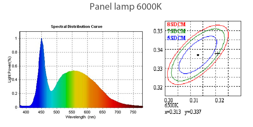 Leimove-Glass LED Filament Bulb From Leimove Lighting-8