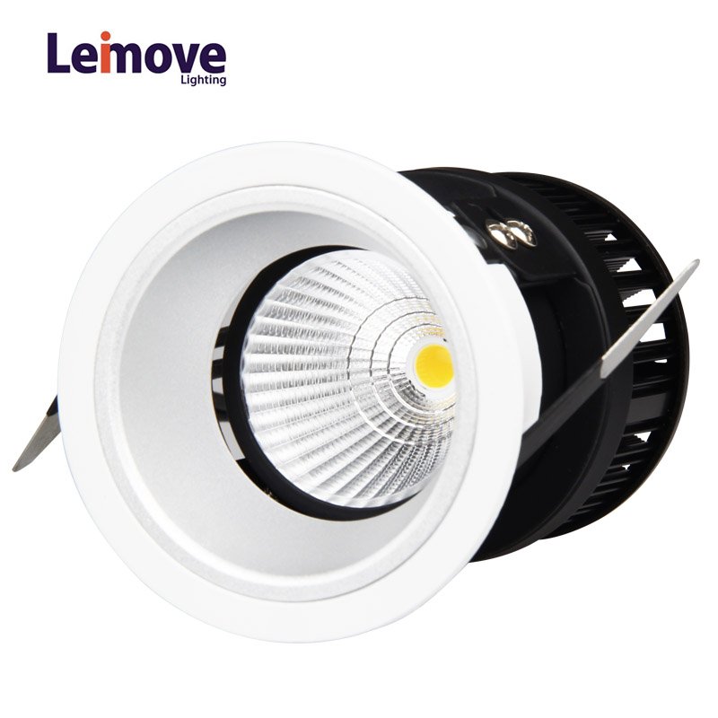 Hot sale Adjustable LED COB 5w Wall Washer Light   LM29834-SY