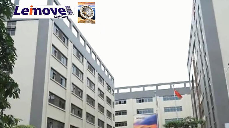 Company promotion video