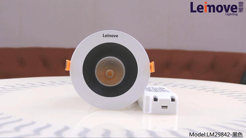 LM29842 الأسود