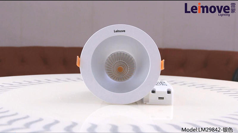 LM29842 الفضة