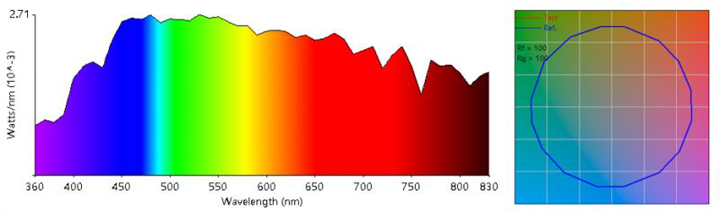 Leimove-What kind of light source can be said to be-17