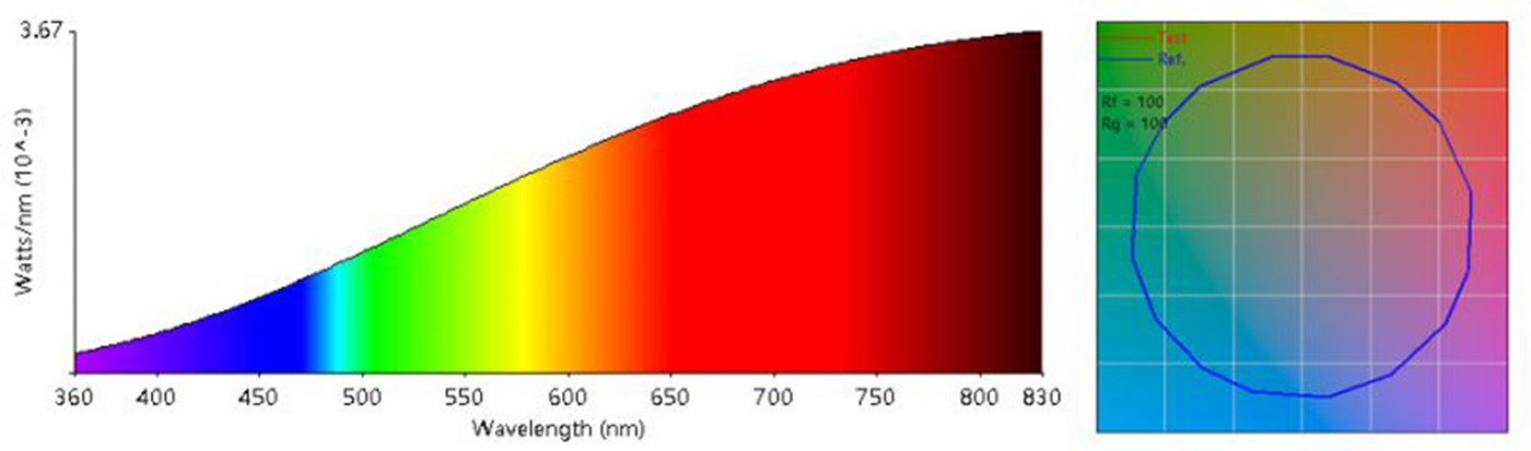 Leimove-What kind of light source can be said to be-18