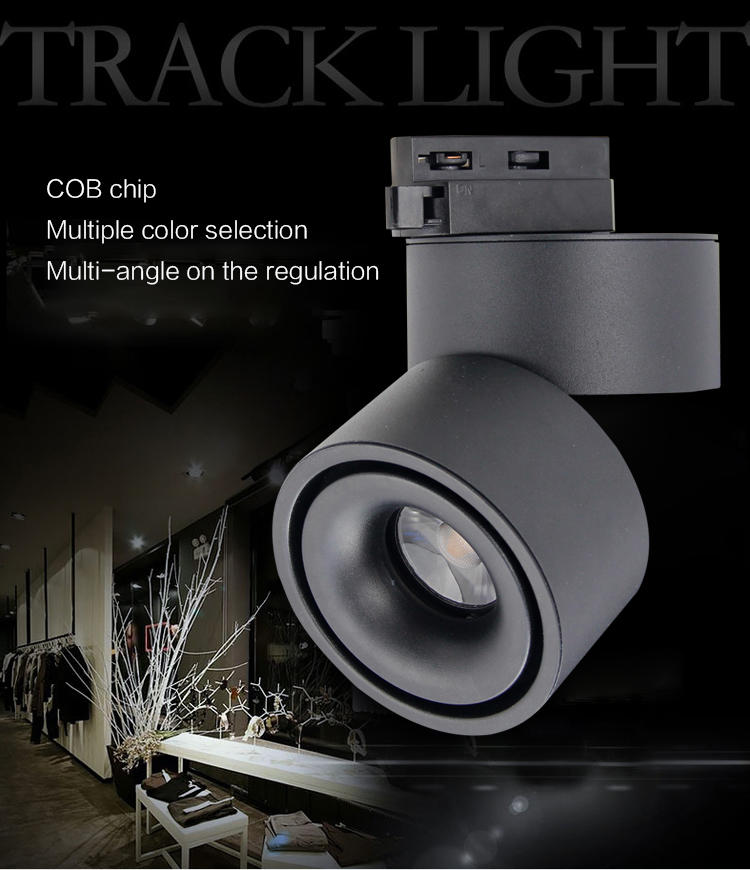 Leimove-Professional Lens Adjustable And Cct Switchable Ce Etl Approved Cob Led