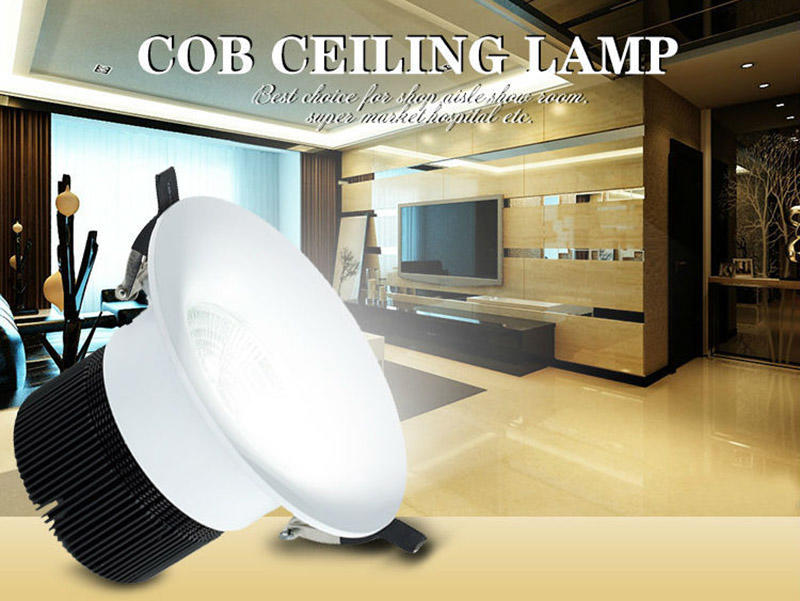 Leimove-2017 New Cob Ac100-240v Round Led Downlight Lm8003 | Led Spot Light | Leimove