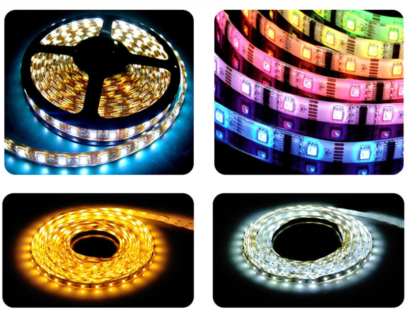 Leimove-Best Led Strip Lights, Outdoor Use Ip65 Waterproof Round Shape 360 Degree-2