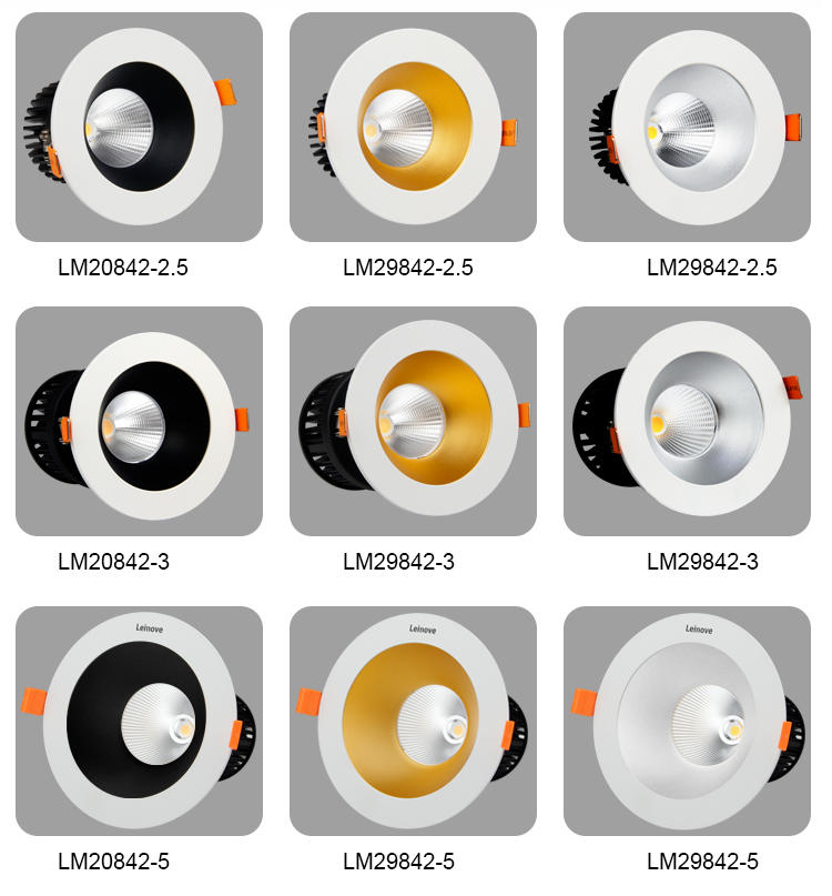Leimove-Professional Led Recessed Downlights Best Led Downlights Supplier-2
