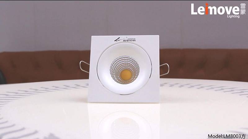 Leimove COB Square type Project Used Spotlight LM8003-square