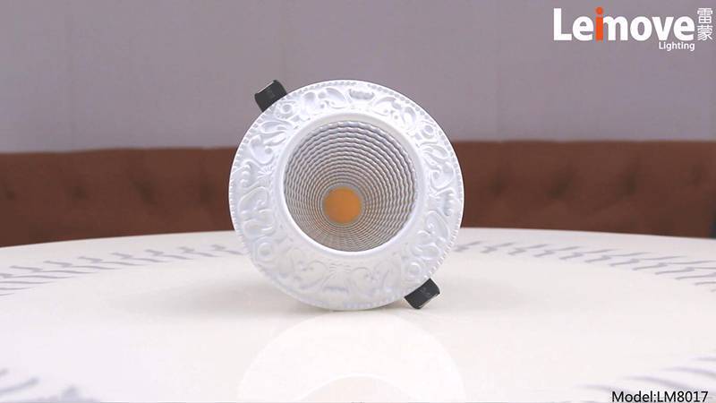 Leimove COB 3000k/4000k/6000k European Personalized Ceiling Spotlight LM8017-white