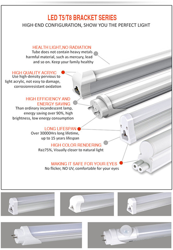 news-Everything You Need to Know About LED Tube Lights-Leimove-img