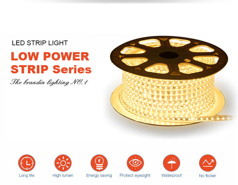 news-An Outstanding Existence Among LED Lighting Products: The LED Flexible Strip Light-Leimove-img