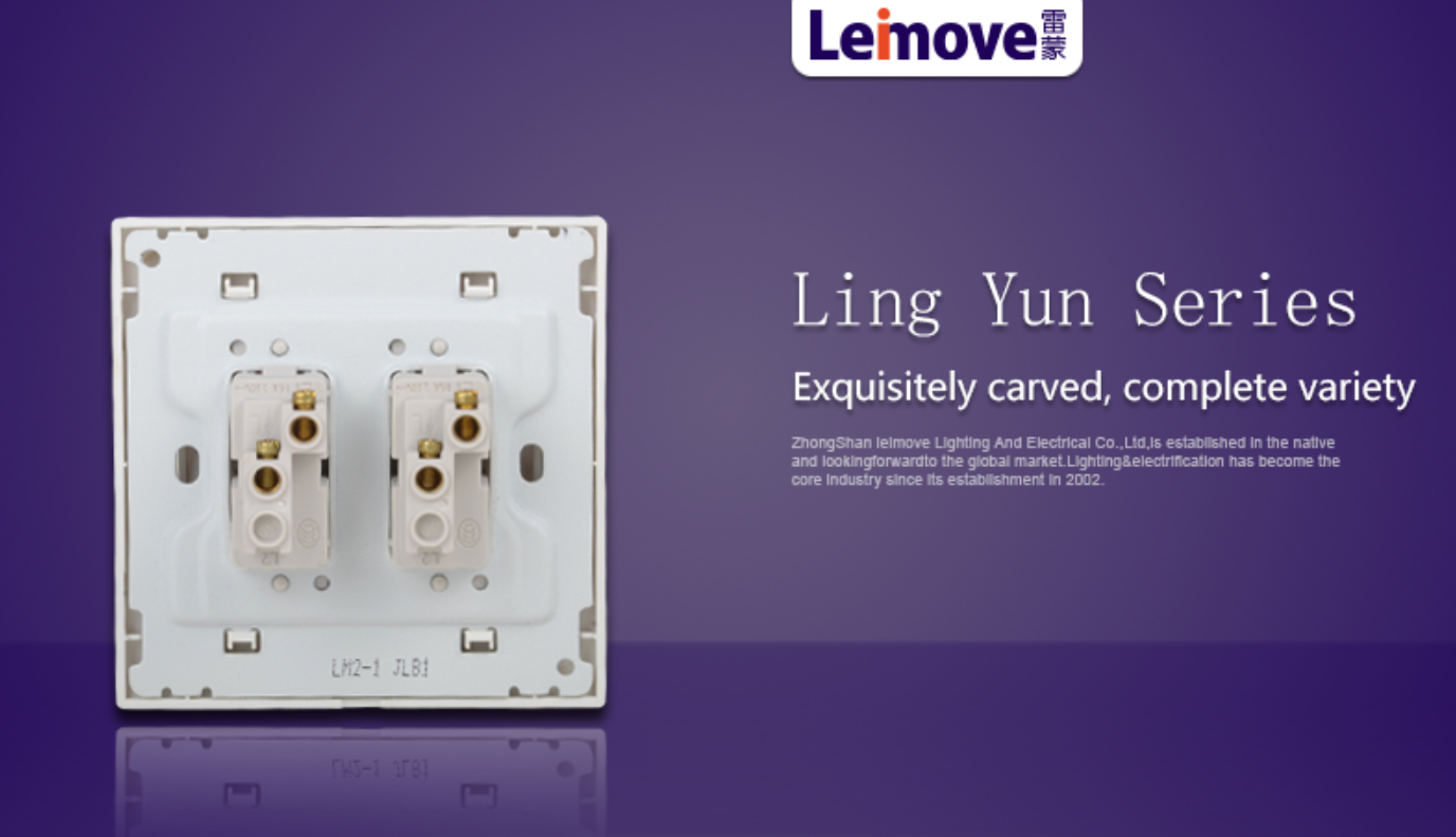 Leimove-Professional Low Current Manufacture-4