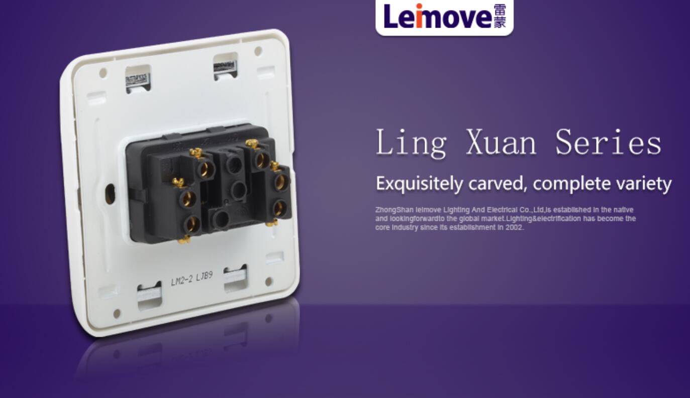 Leimove-Manufacturer Of Double Switch On Two Stilts Lm2-2a-4