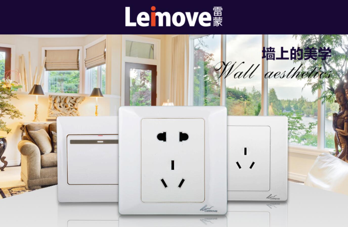 Leimove-High-quality Two Large Rocker Dual Switch | Ling Tong Series