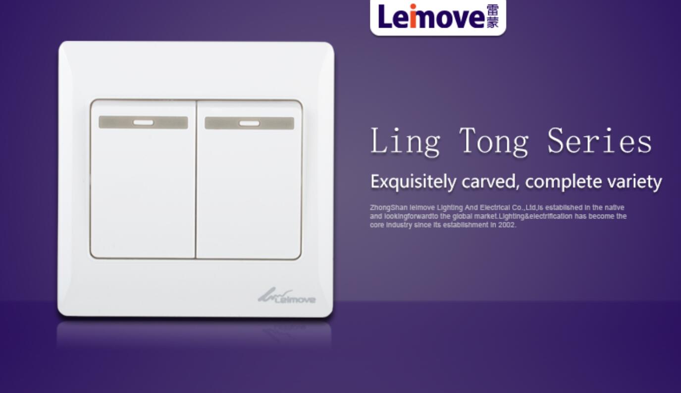 Leimove-High-quality Two Large Rocker Dual Switch | Ling Tong Series-2