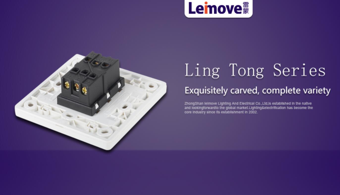 Leimove-High-quality Two Large Rocker Dual Switch | Ling Tong Series-5