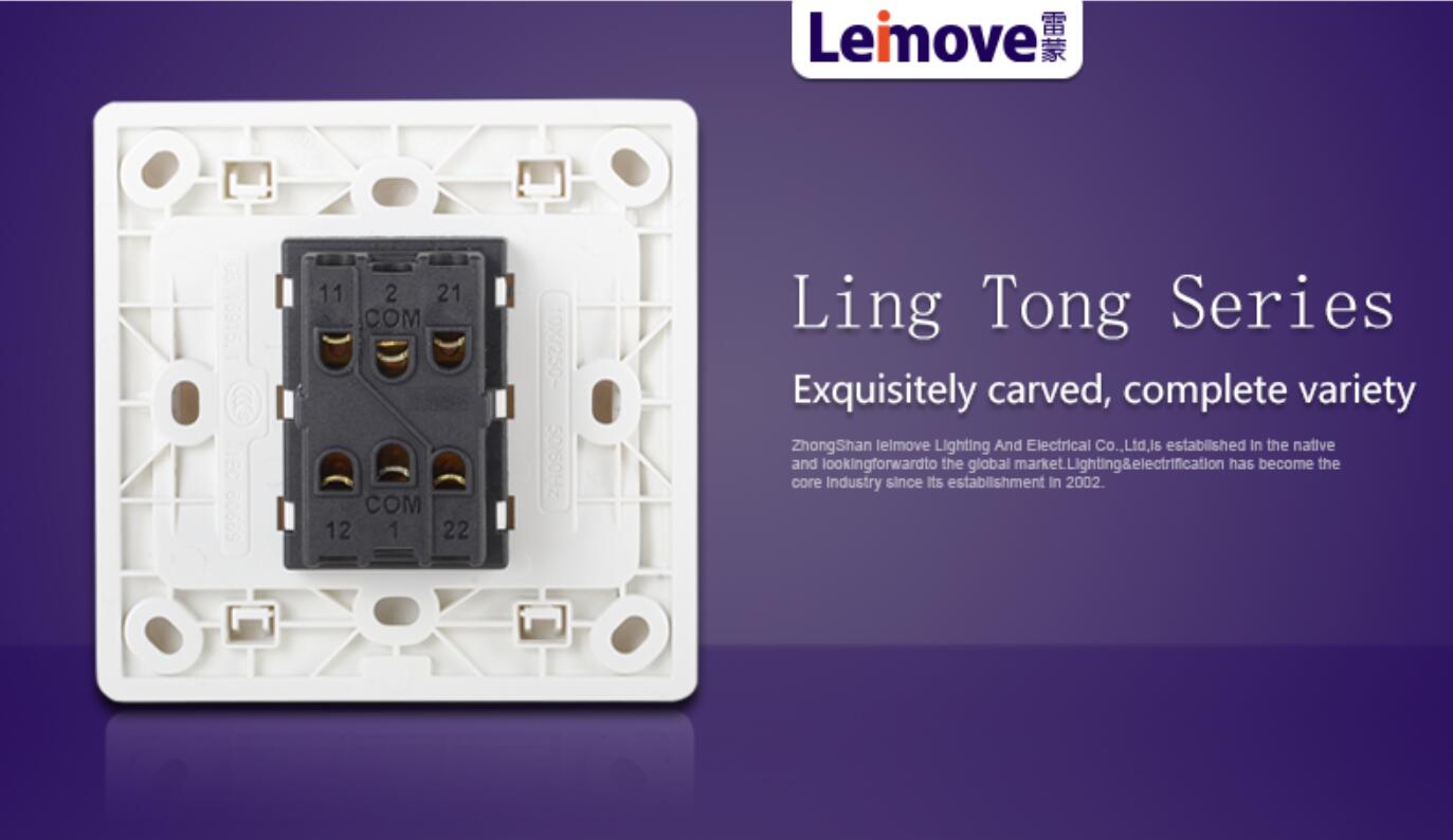 Leimove-High-quality Two Large Rocker Dual Switch | Ling Tong Series-4