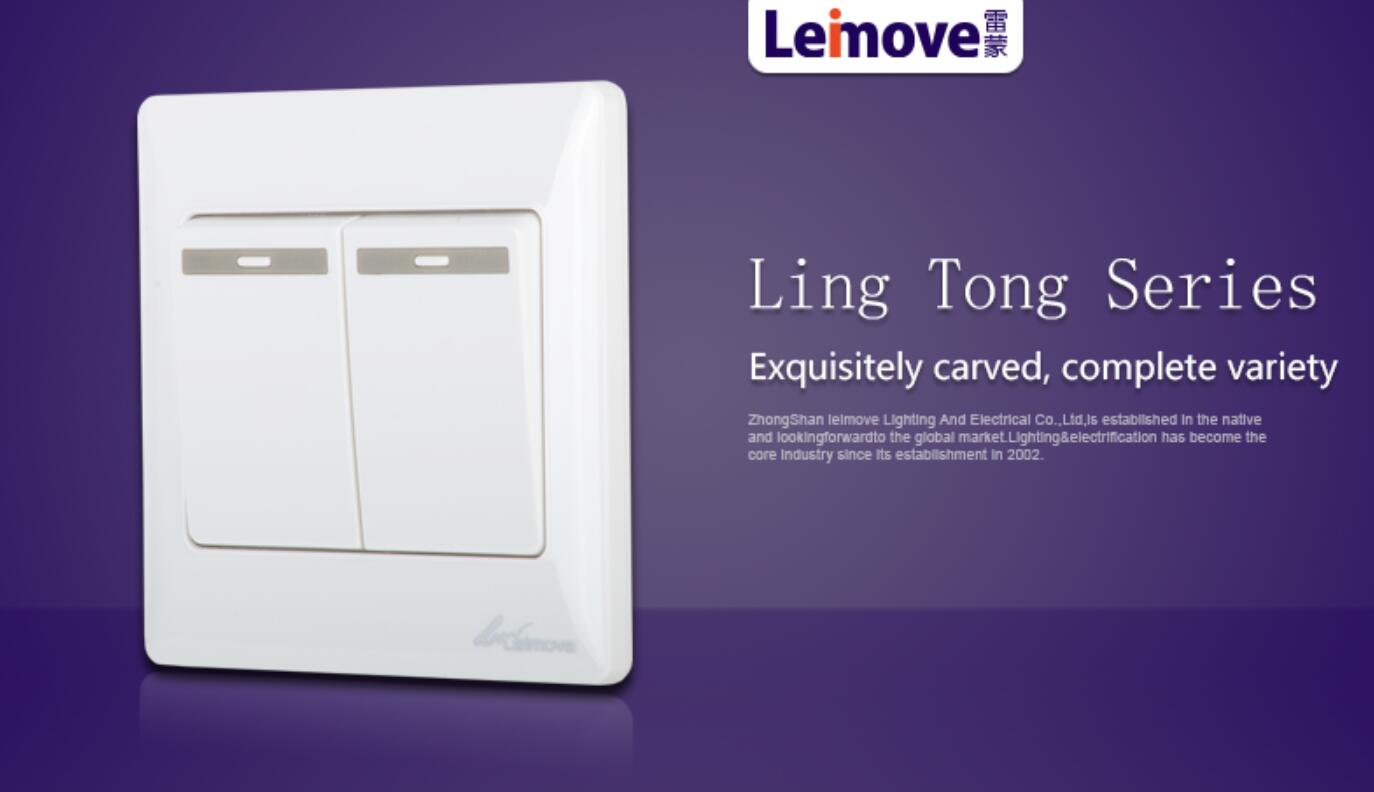 Leimove-High-quality Two Large Rocker Dual Switch | Ling Tong Series-3