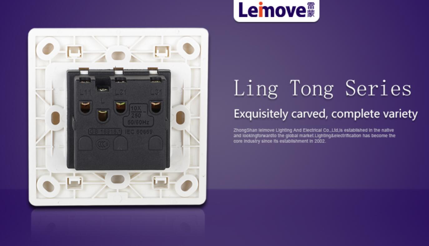 Leimove-Electrical Switch Box Best Electric Switch For Home From Leimove-4