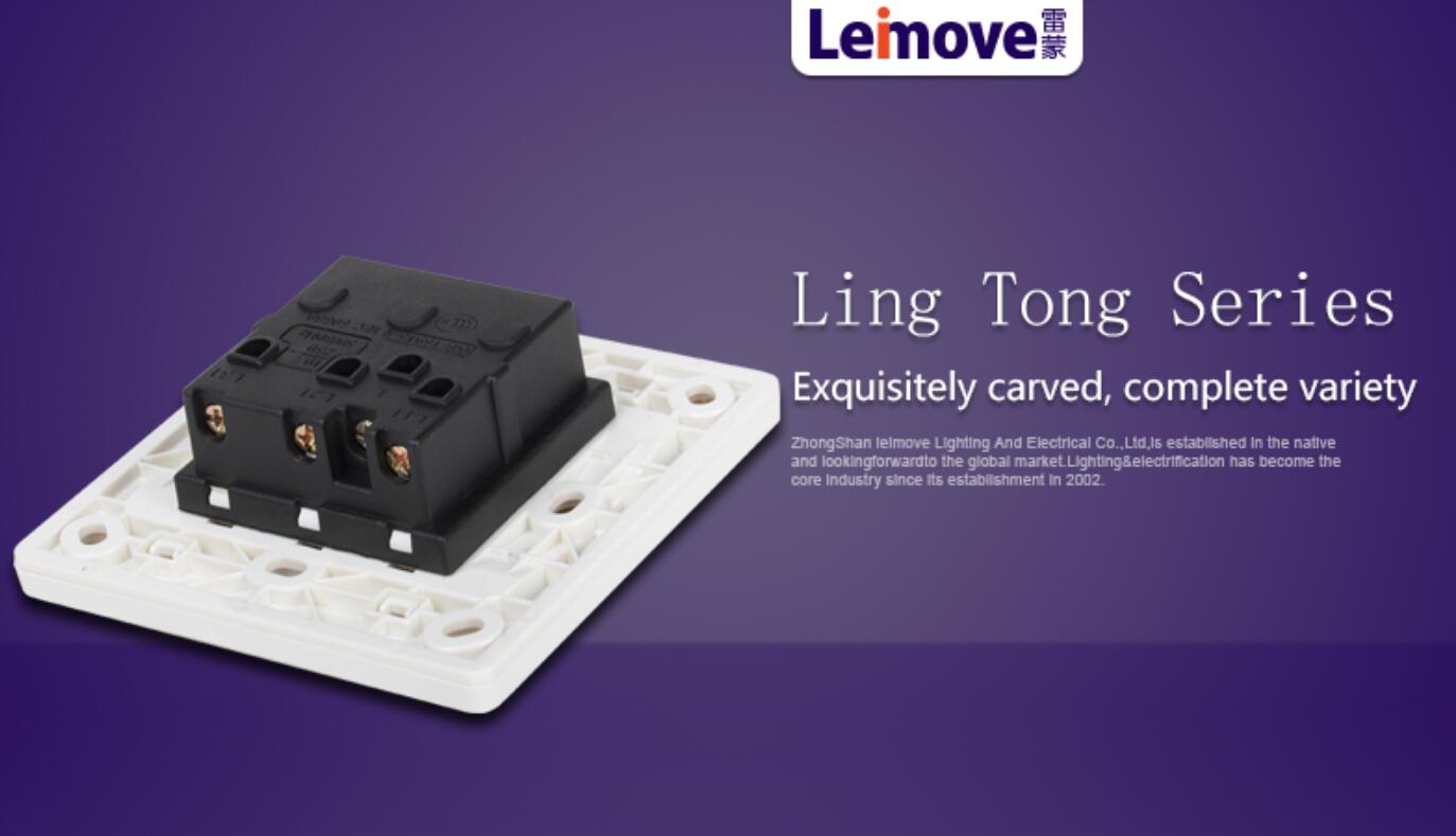 Leimove-Electrical Switch Box Best Electric Switch For Home From Leimove-5