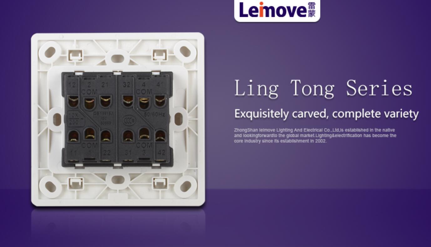 Leimove-Professional Four Big Rocker Dual Switch Supplier-4