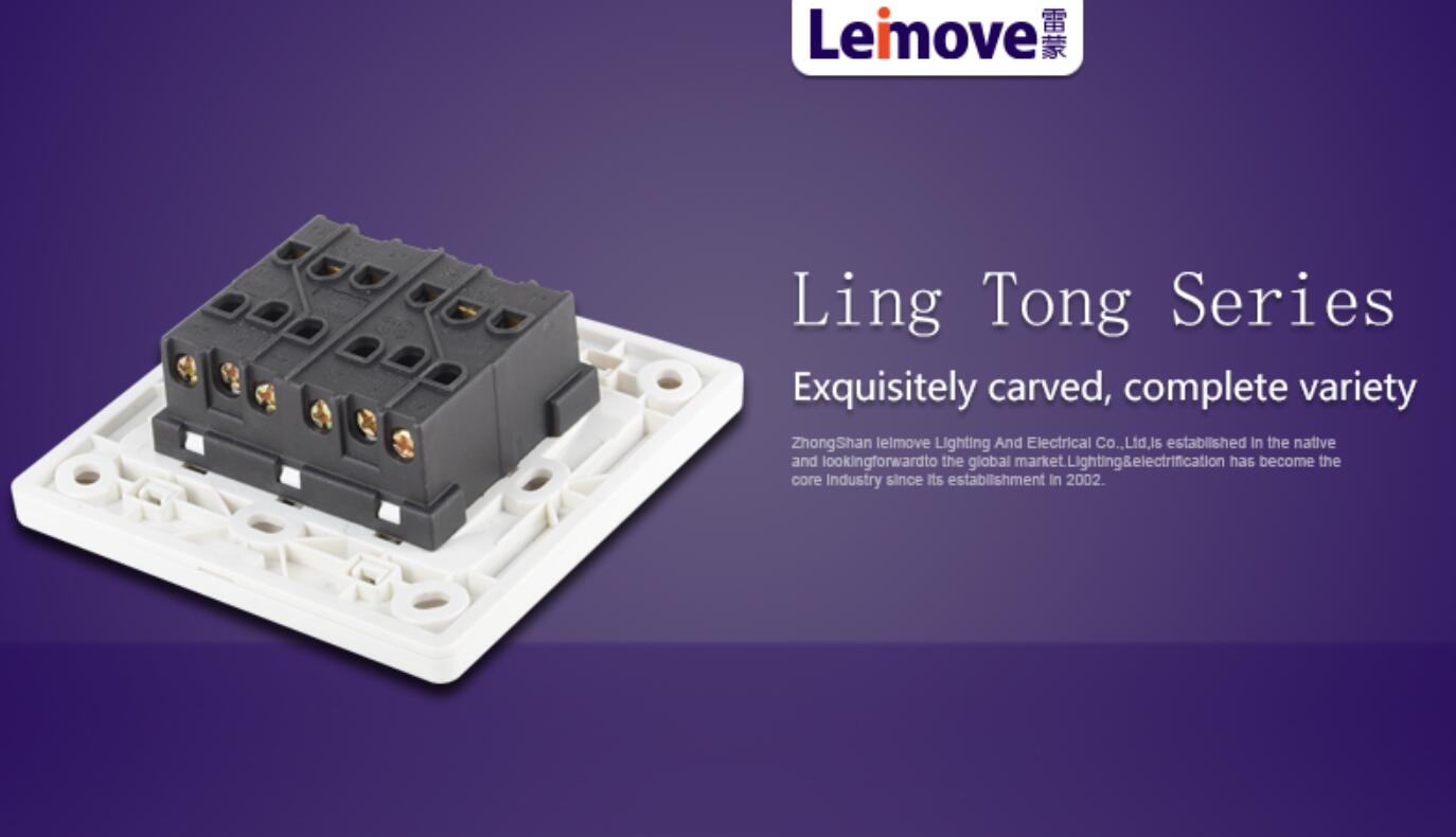 Leimove-Professional Four Big Rocker Dual Switch Supplier-5