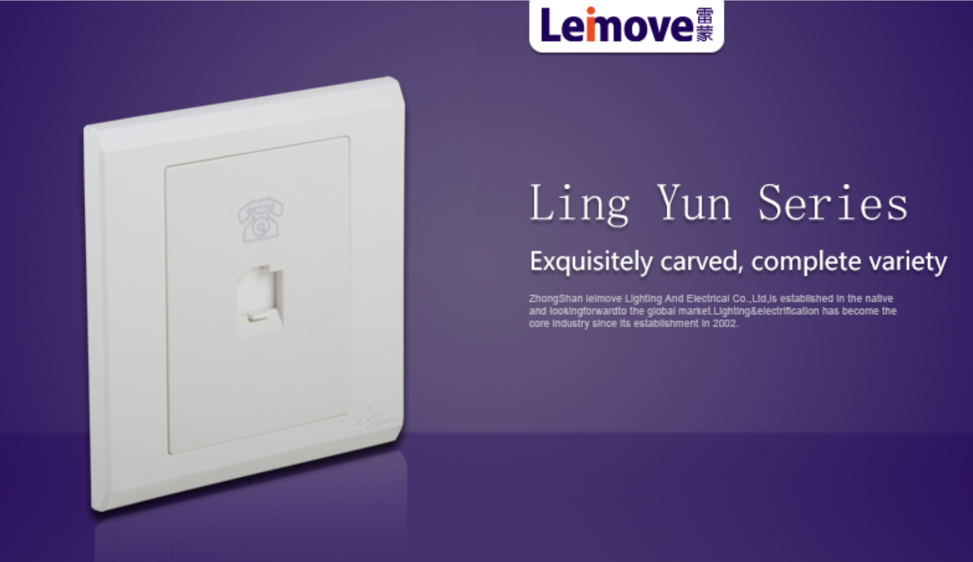 Leimove-Custom Leimove-Leimove Lighting-2