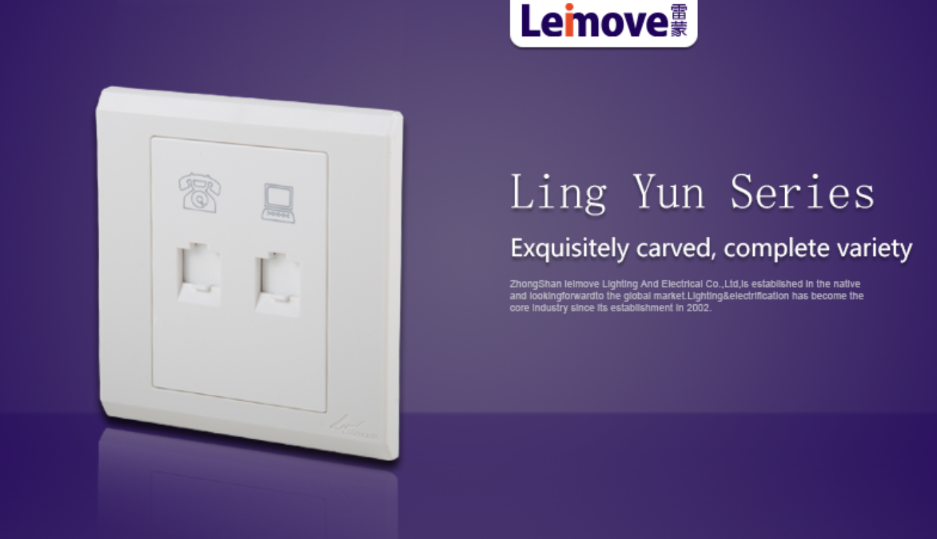 Leimove multi-functional screwless white sockets wholesale for telephone-3